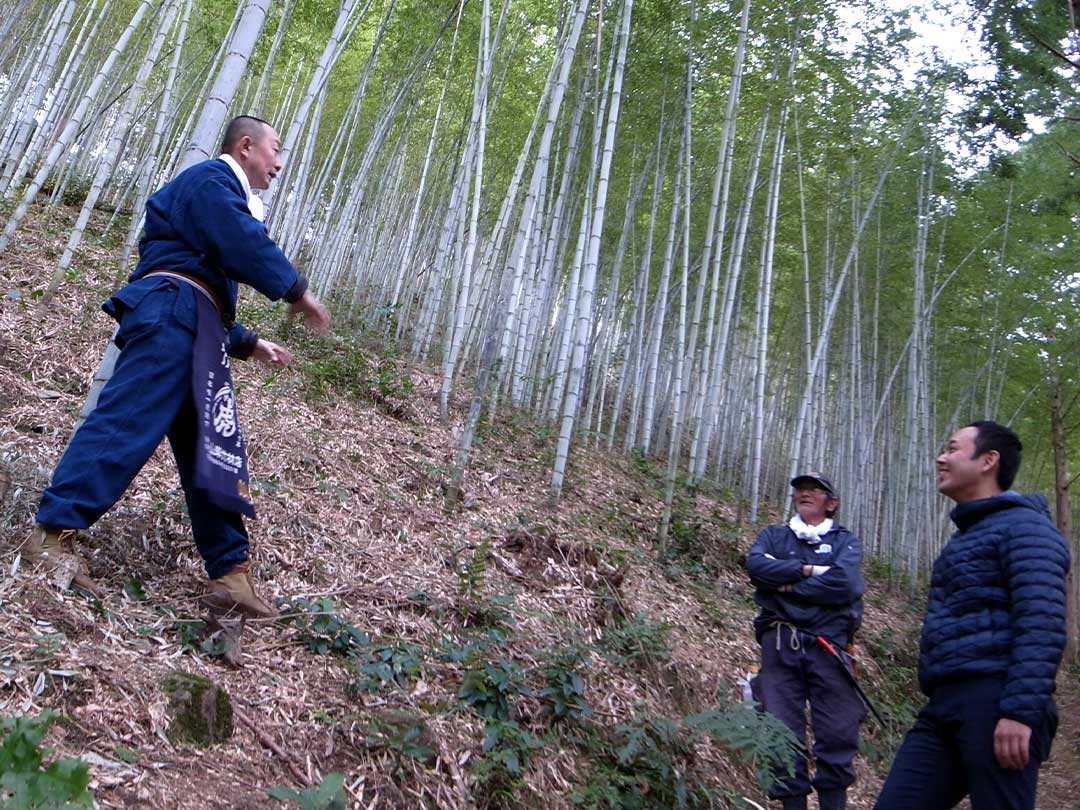 虎竹の里（Tiger Bamboo）