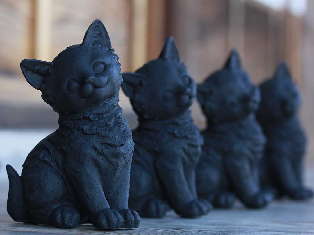 竹炭ペット（Bamboo charcoal Pet）