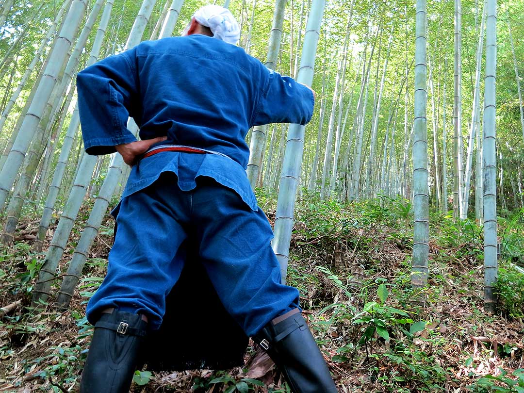 虎竹の里、竹虎四代目