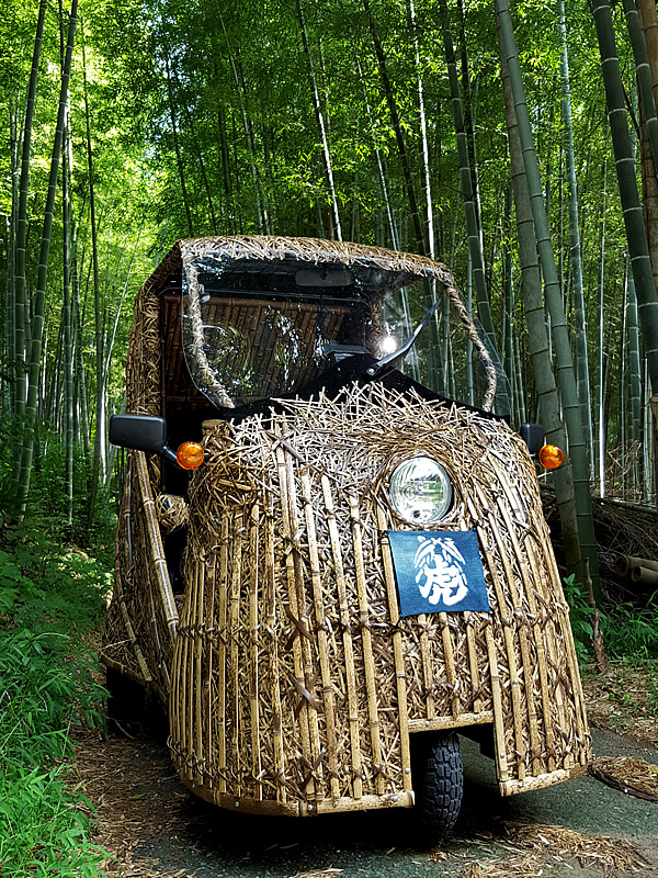 日本唯一虎斑竹（Tiger Bamboo）、竹トラッカー