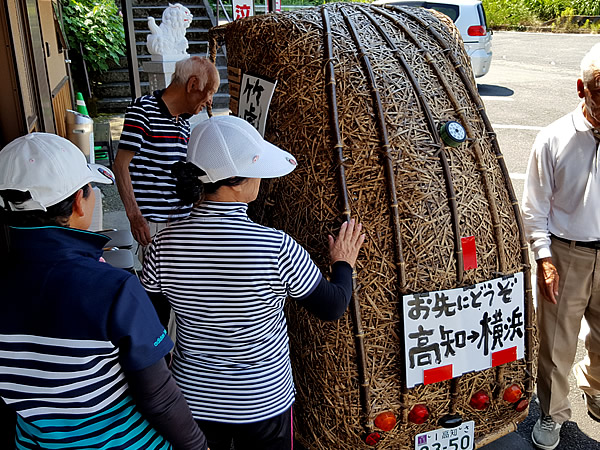 竹トラッカー（Tiger Bamboo car）