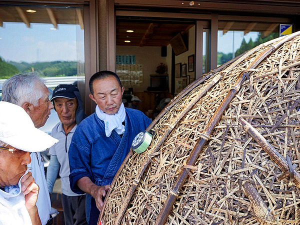 竹トラッカー（Tiger Bamboo car）