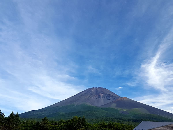 チャレンジラン横浜、富士市、富士山