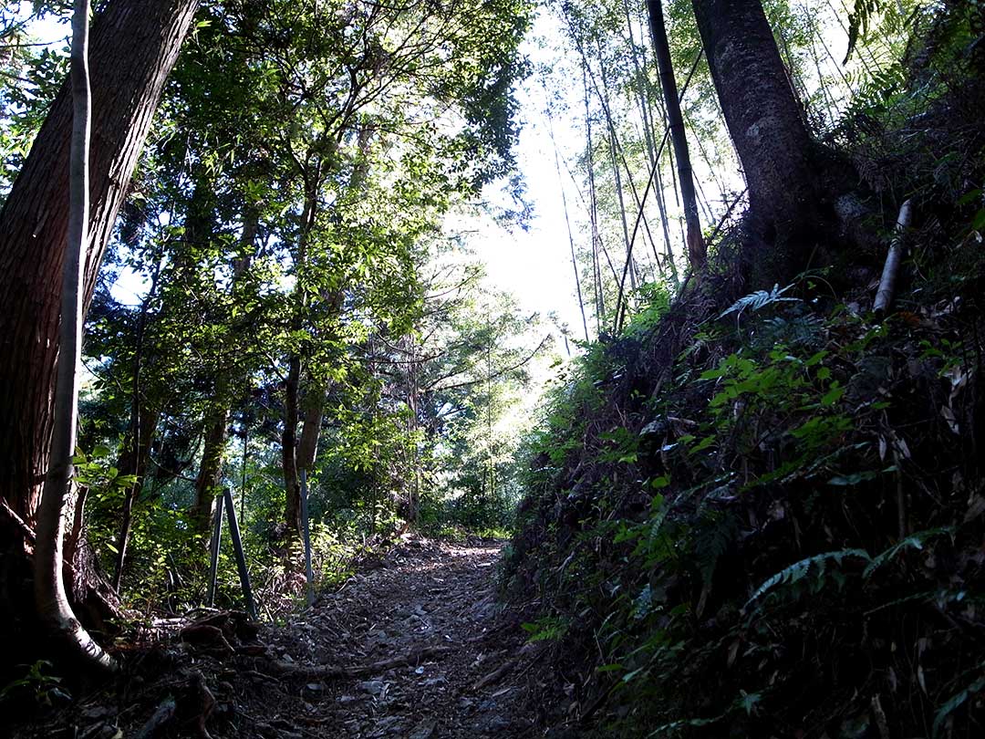 虎竹の里の山道