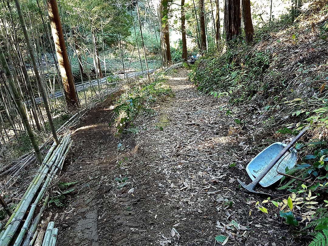 虎竹の里の山道