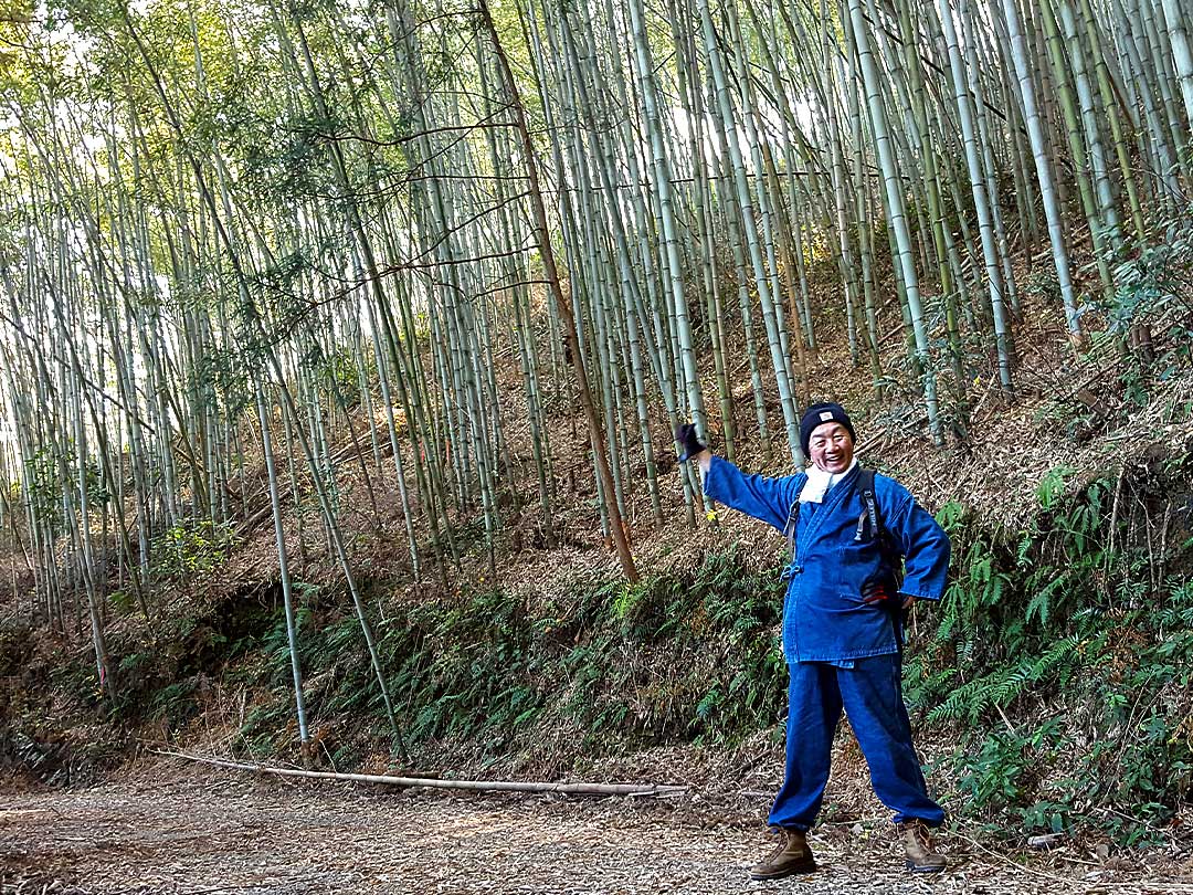 虎竹の竹林