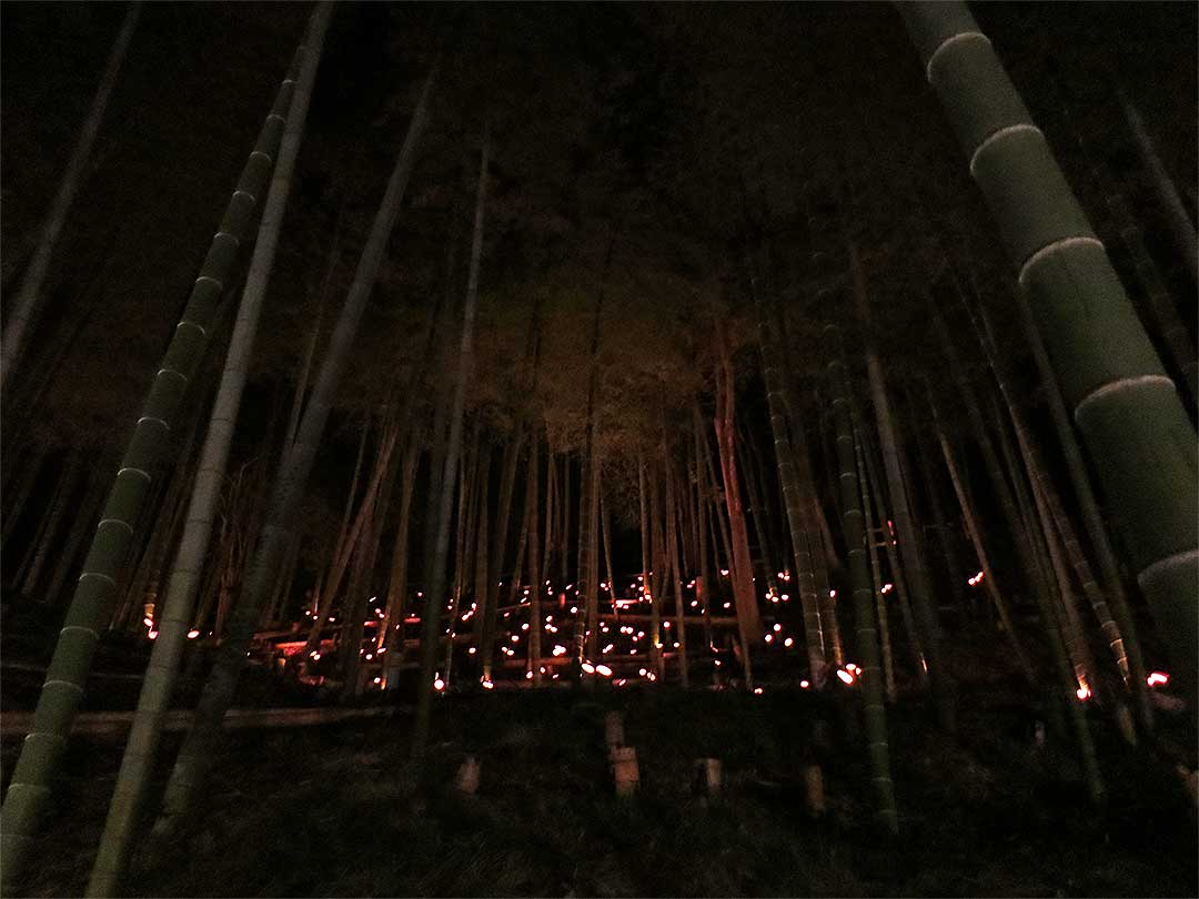 小机城址市民の森、竹灯籠まつり