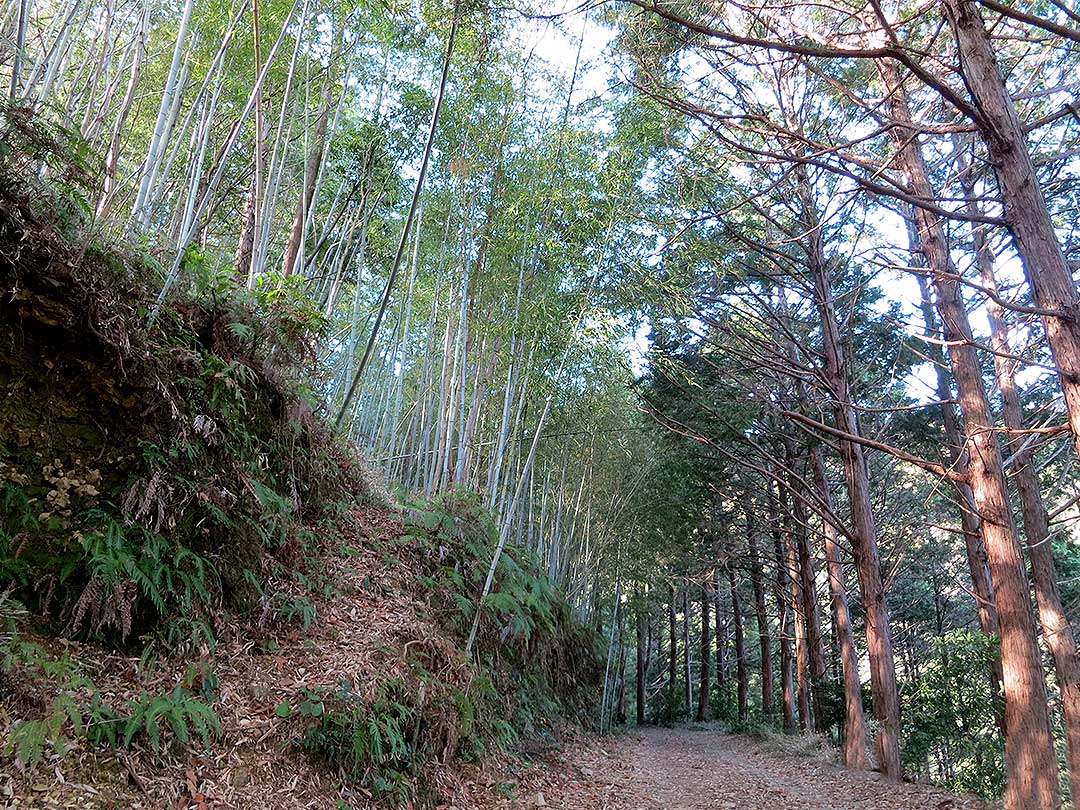 虎竹の里の遍路道