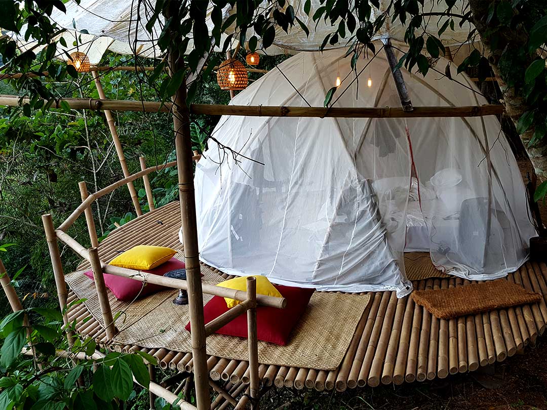 bambu indah、バンブードームの竹テント