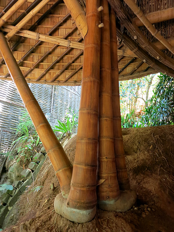 竹支柱