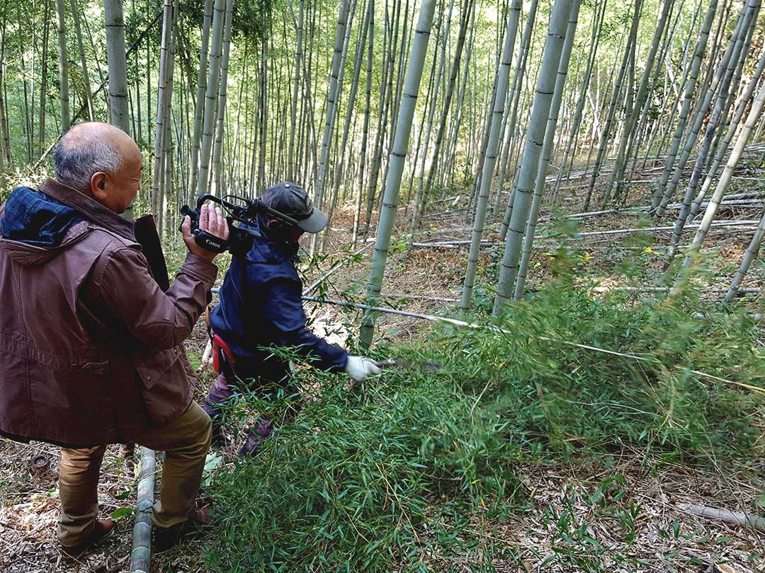 日本唯一の虎竹伐採、山の職人