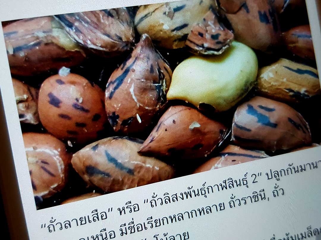 タイのピーナツ