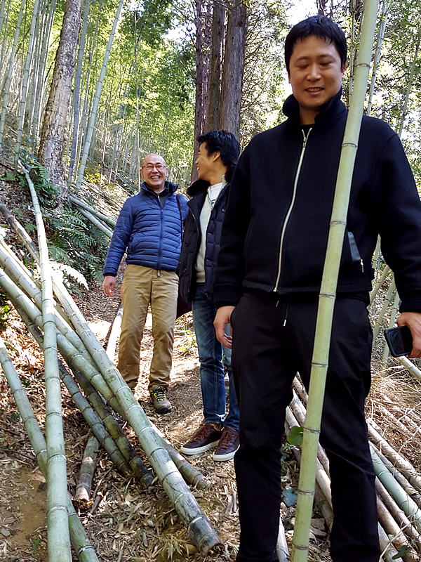 虎竹の里、竹林