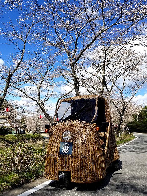 日本唯一の虎竹電気自動車竹トラッカー