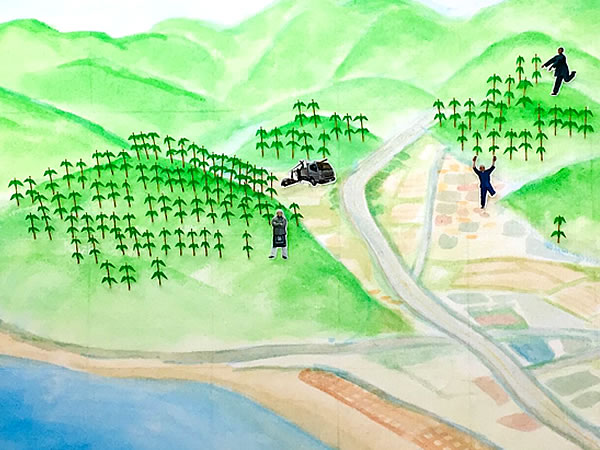 日本唯一虎竹の里、ハゲ山再生計画