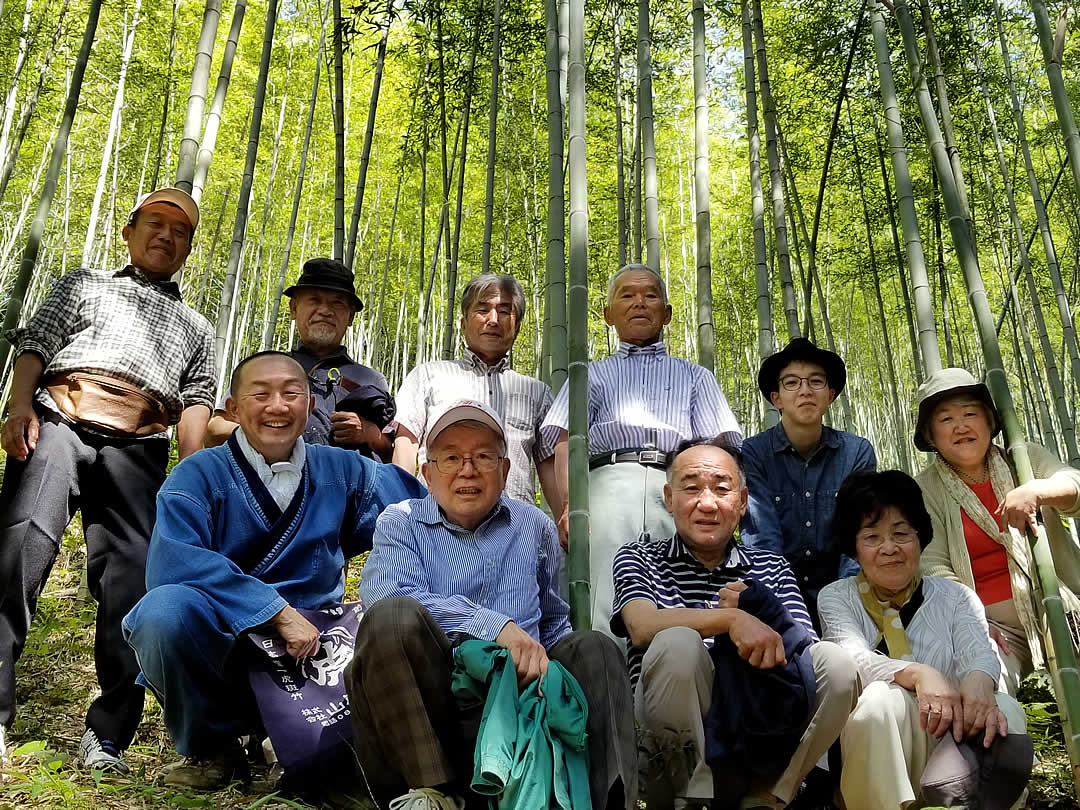 虎竹の里竹林見学