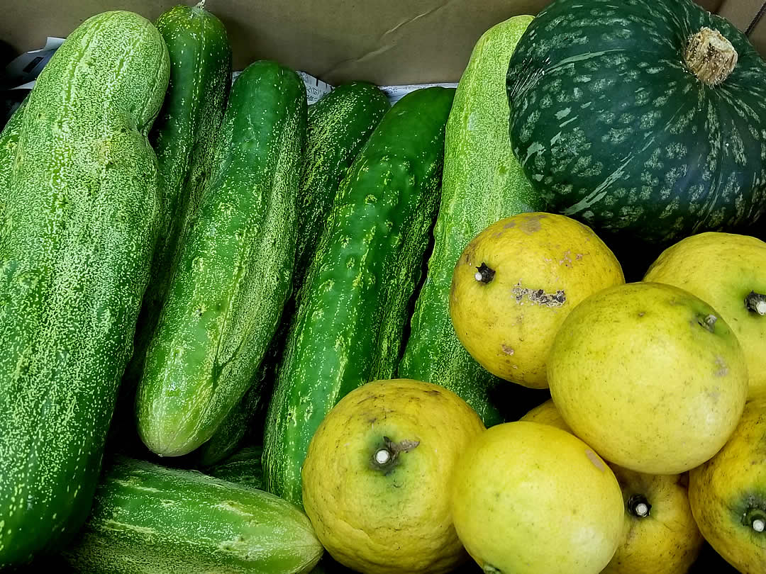 竹職人の作る野菜、果物