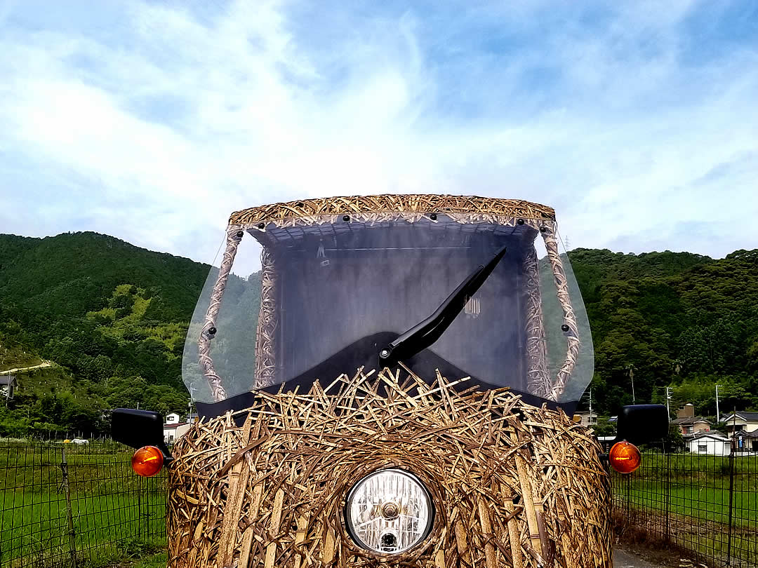 Tiger Bamboo car