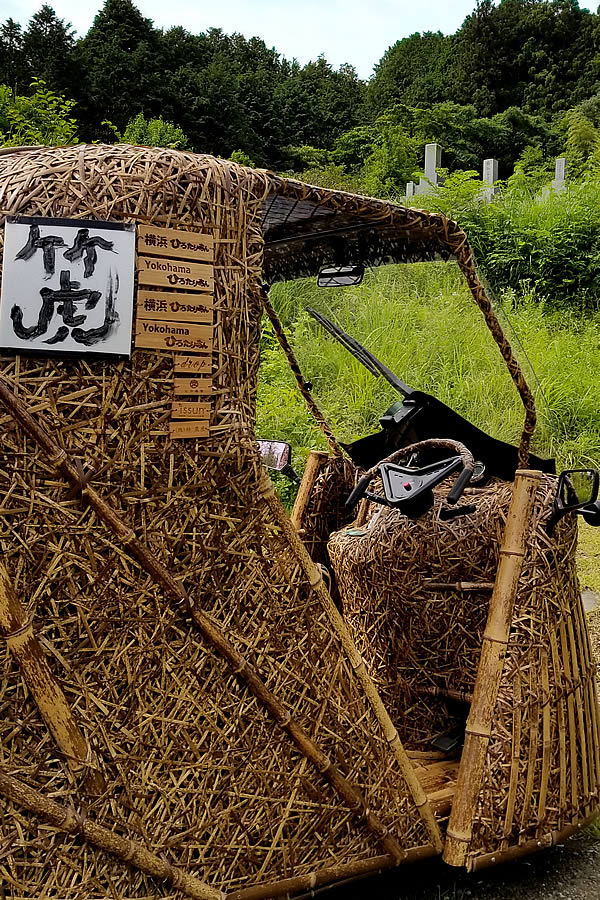 Tiger Bamboo car