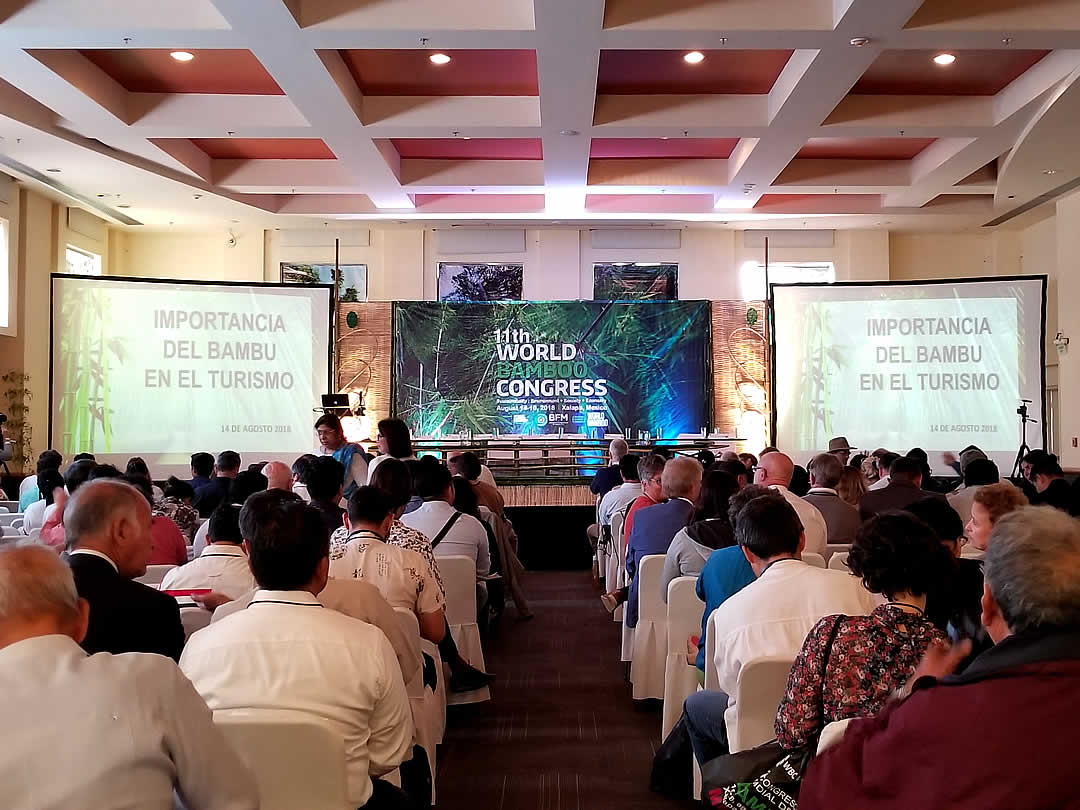 World Bamboo Congress、世界竹会議メキシコ2018