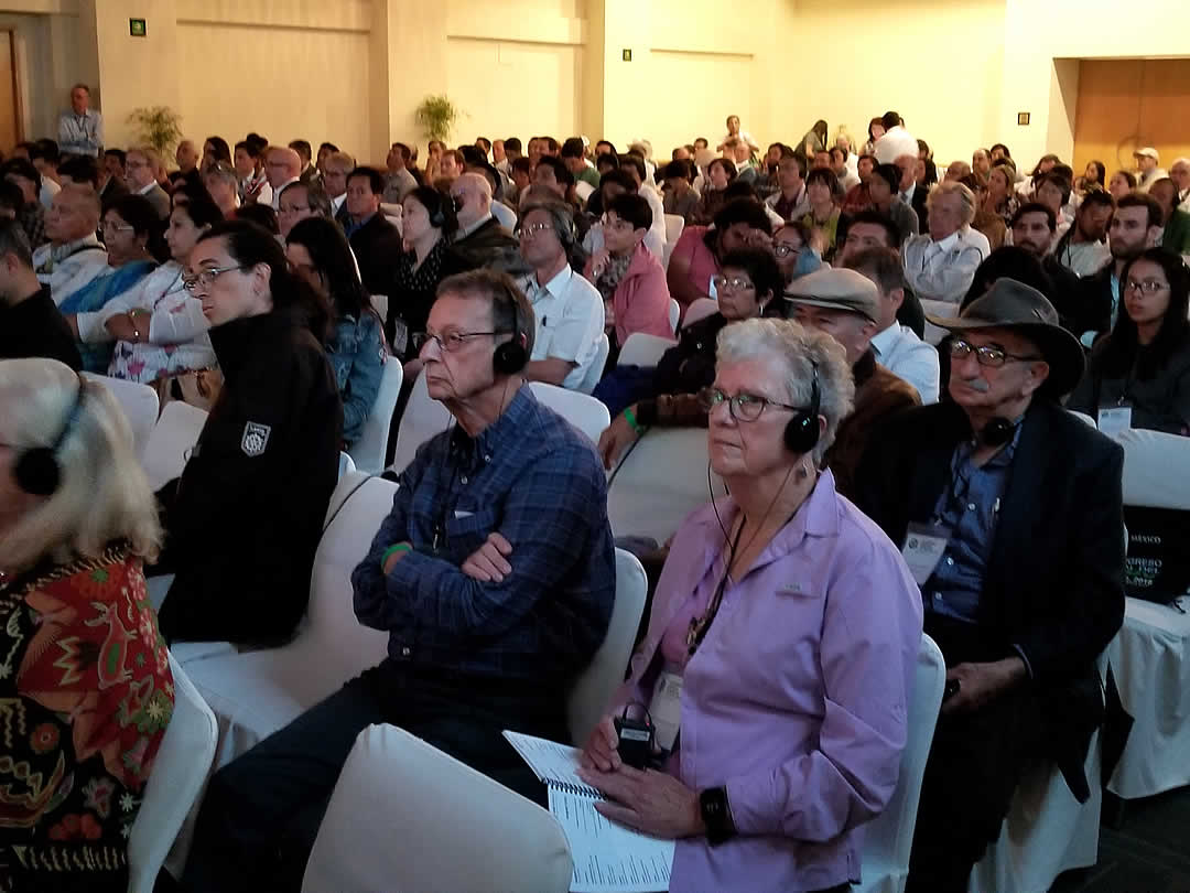 World Bamboo Congress、世界竹会議メキシコ2018