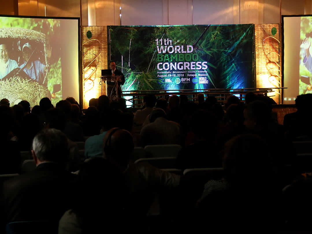 第11回世界竹会議メキシコ(11th World Bamboo Congress Mexico)