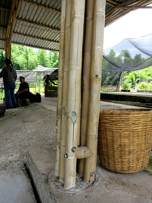 竹の柱