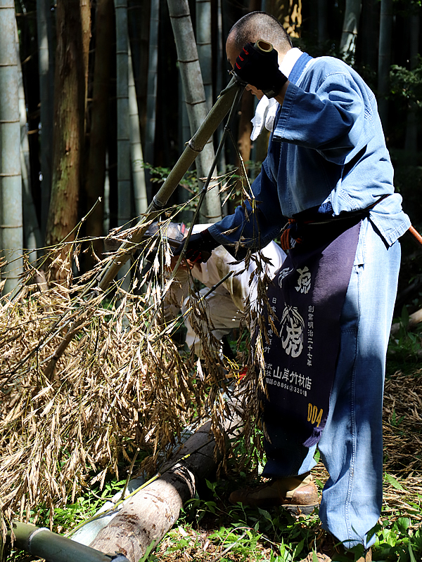 孟宗竹の花、竹虎四代目(山岸義浩)