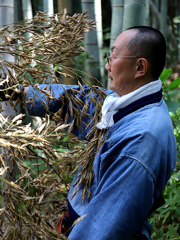 竹の花と竹虎四代目（山岸義浩）