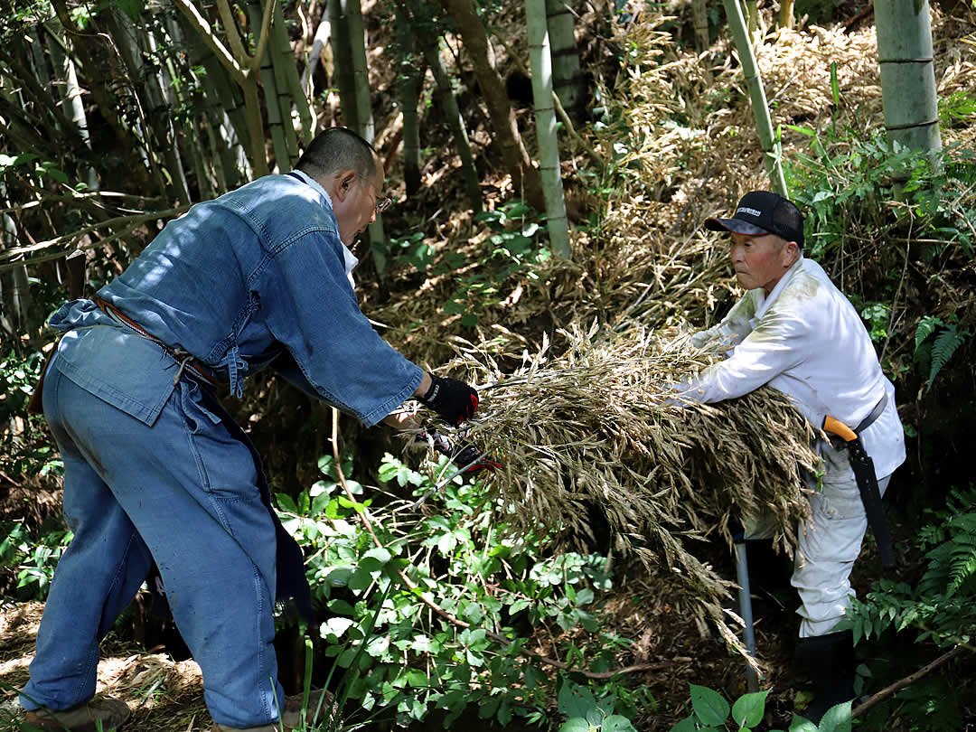 竹の花、竹虎四代目(山岸義浩)