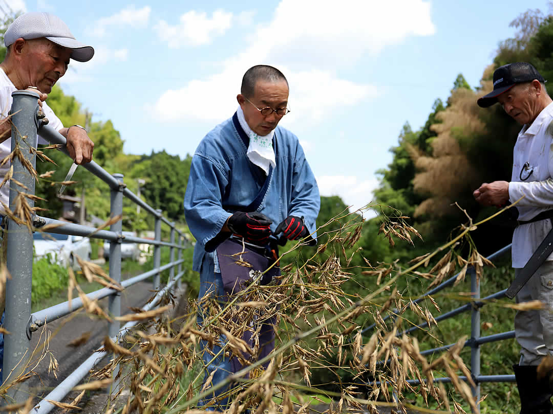 竹の花、竹虎四代目（山岸義浩）