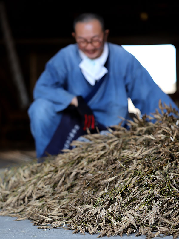 孟宗竹の花