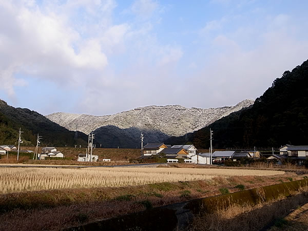 雪の虎竹の里