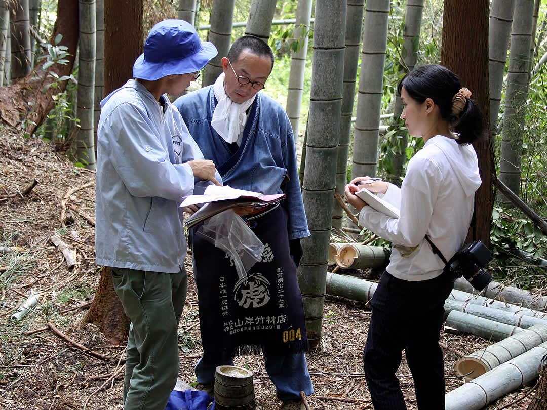 孟宗竹開花調査、山岸義浩