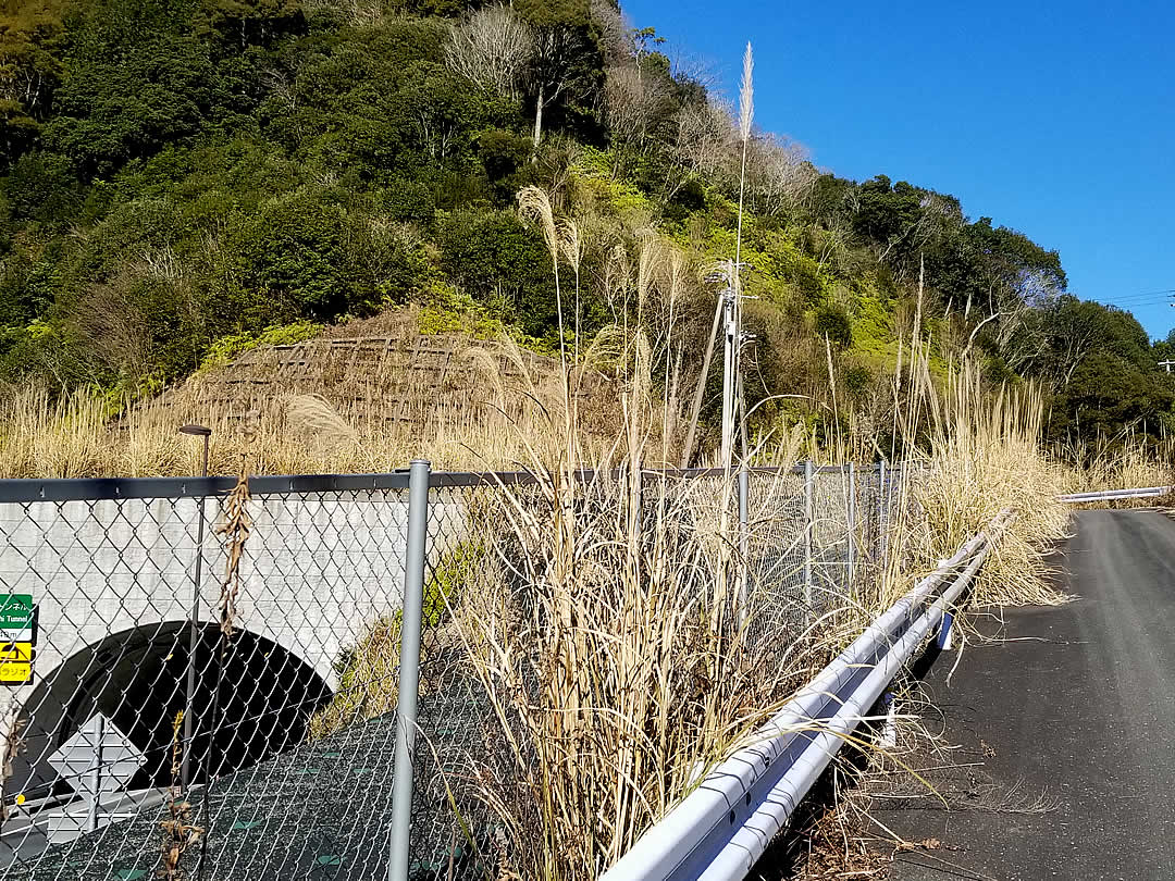 焼坂の山道