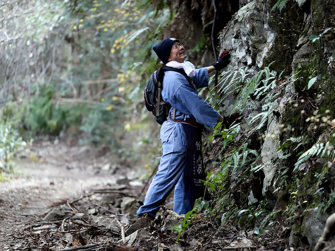 虎竹の里の山道、岩肌