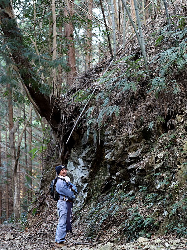 虎竹の里