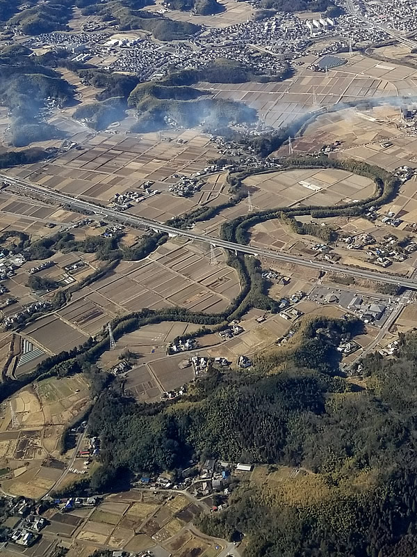 小糸川護岸竹