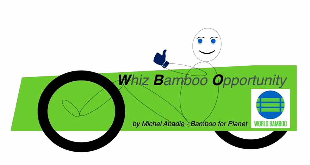 WORLD BAMBOO