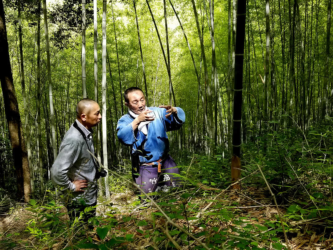 虎竹の里、Ryuichi Yahagi、竹虎四代目