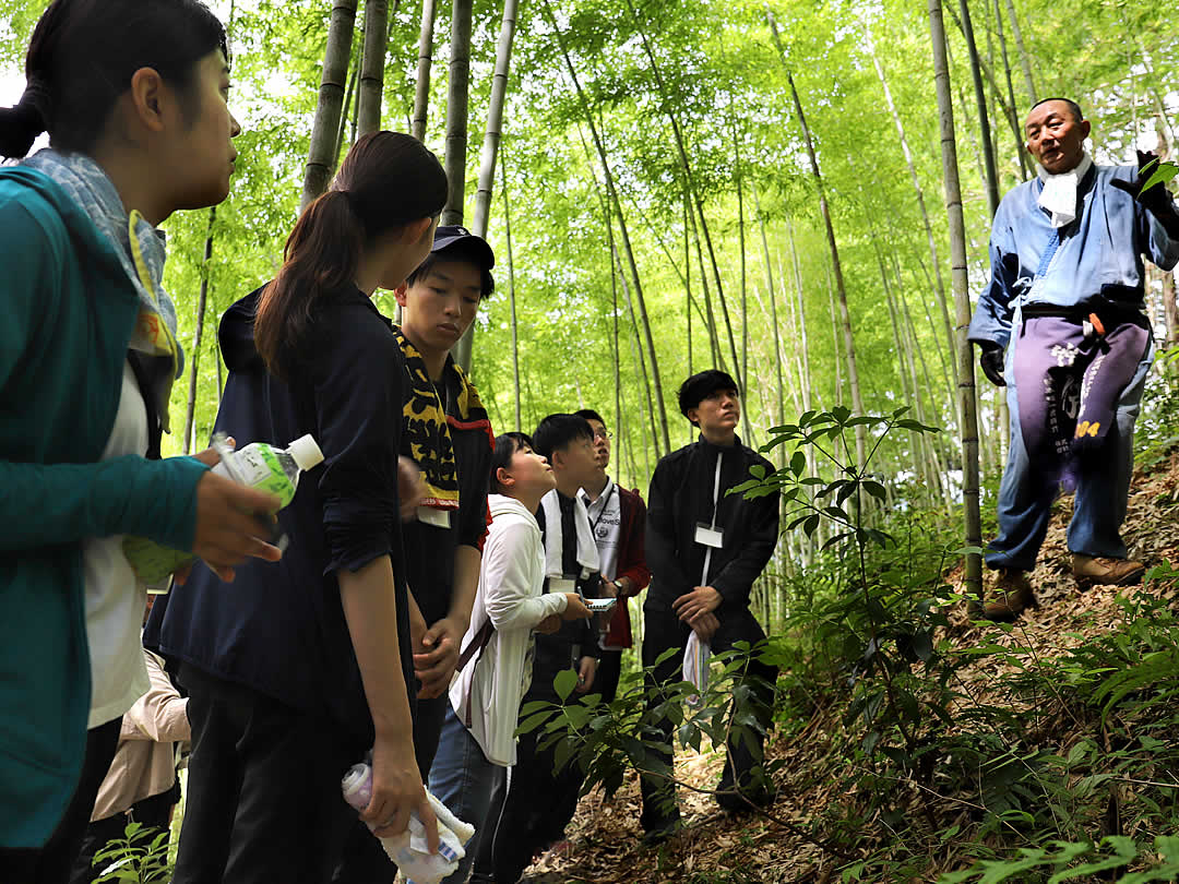 竹虎インターンシップ、竹林見学