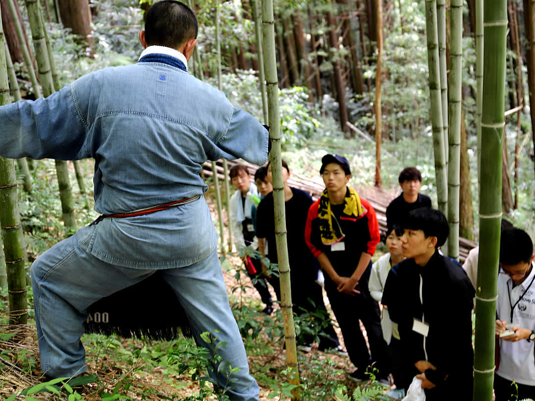 竹虎インターンシップ2019、竹林見学