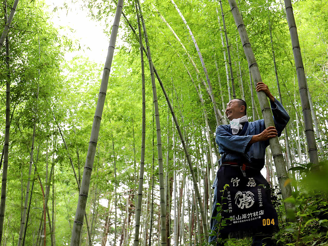 虎竹の竹林、竹虎四代目（山岸義浩）