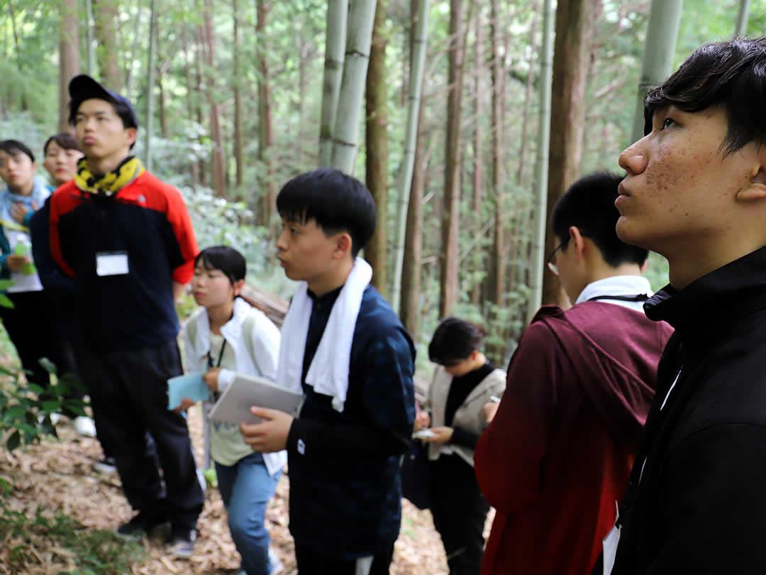 竹虎インターンシップ2019、竹林見学