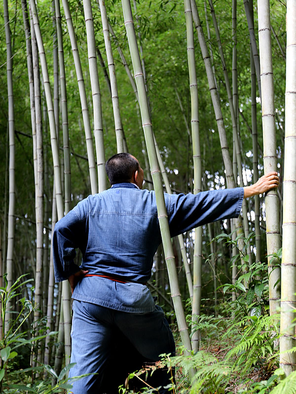 竹虎四代目（山岸義浩）