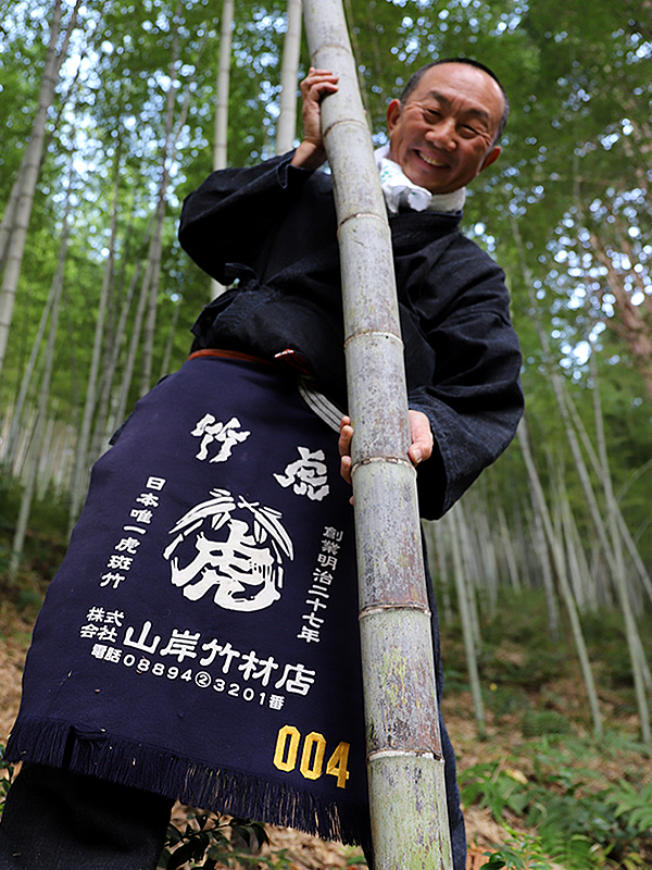 日本唯一の虎竹、竹虎四代目（山岸義浩）