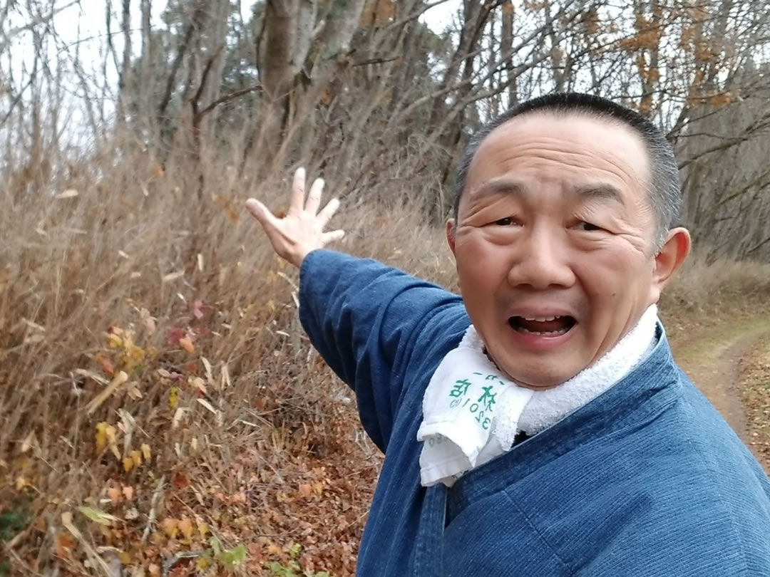 竹虎四代目（山岸義浩）、スズ竹開花