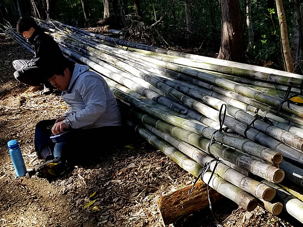 虎竹の里、虎竹林でのランチタイム