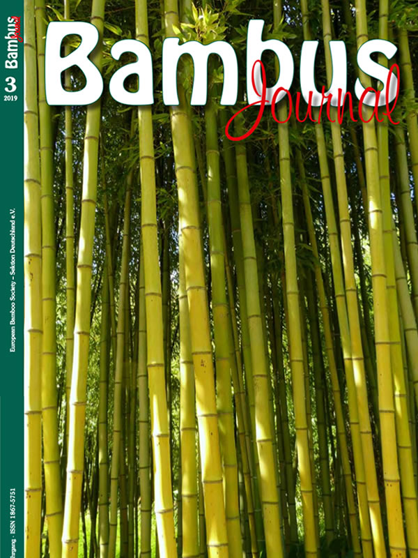 bambus journal