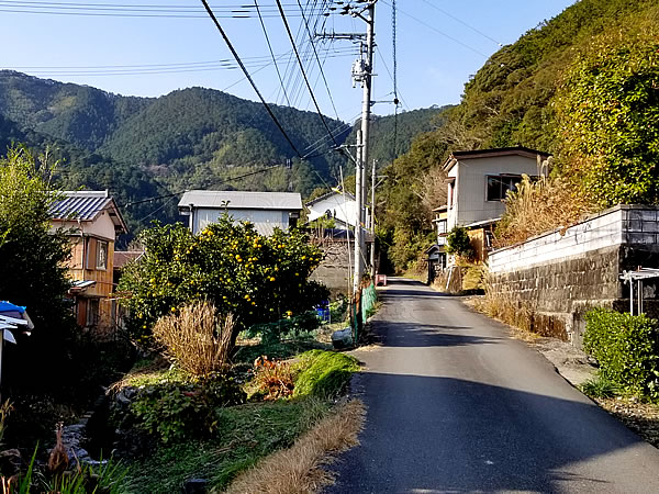 新春虎竹の里ウォーキング2020